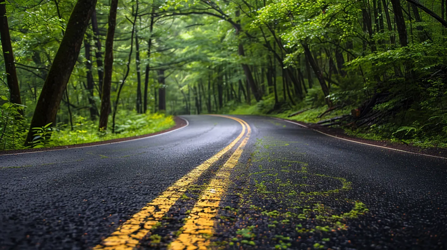 Epic Road Trips Through Exotic Wildernesses