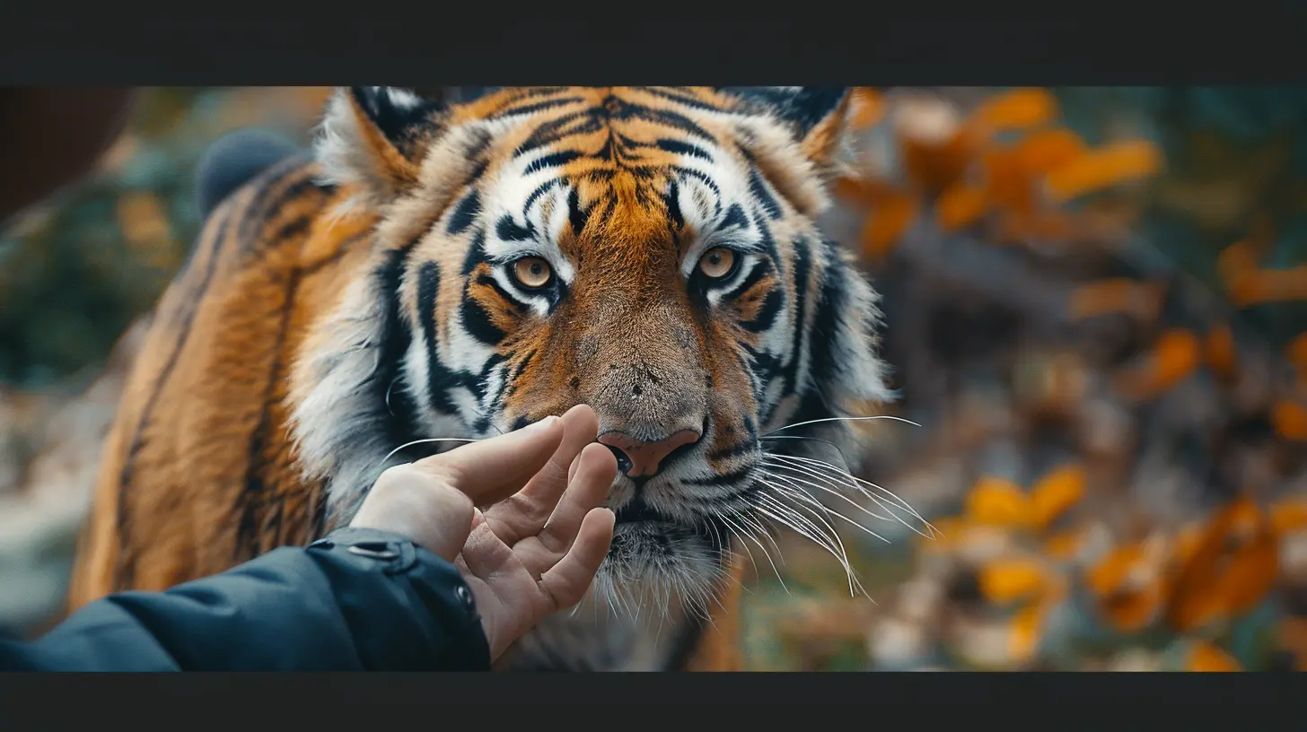 Ethical Wildlife Encounters: Where to Safely See Animals in the Wild