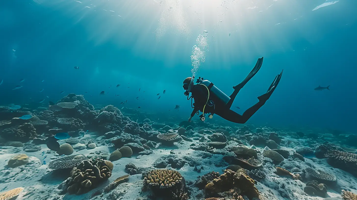 How to Support Marine Conservation Through Responsible Diving Trips