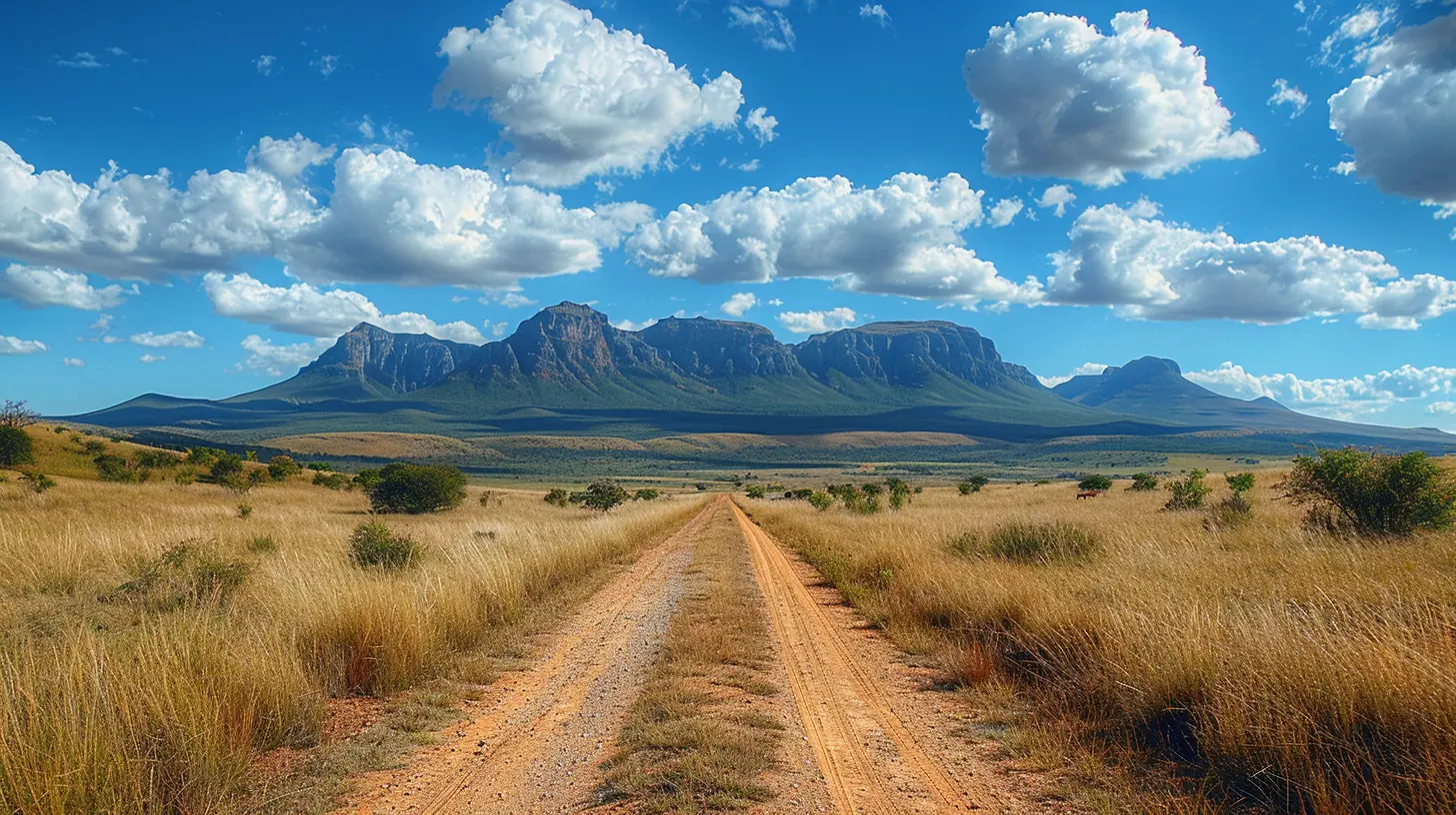 South Africa Journey: From Cape Town to Kruger National Park