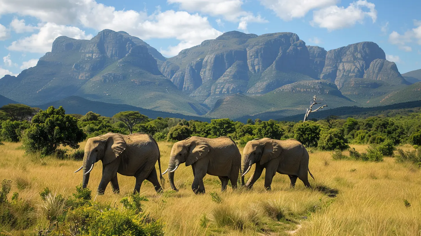 South Africa Journey: From Cape Town to Kruger National Park