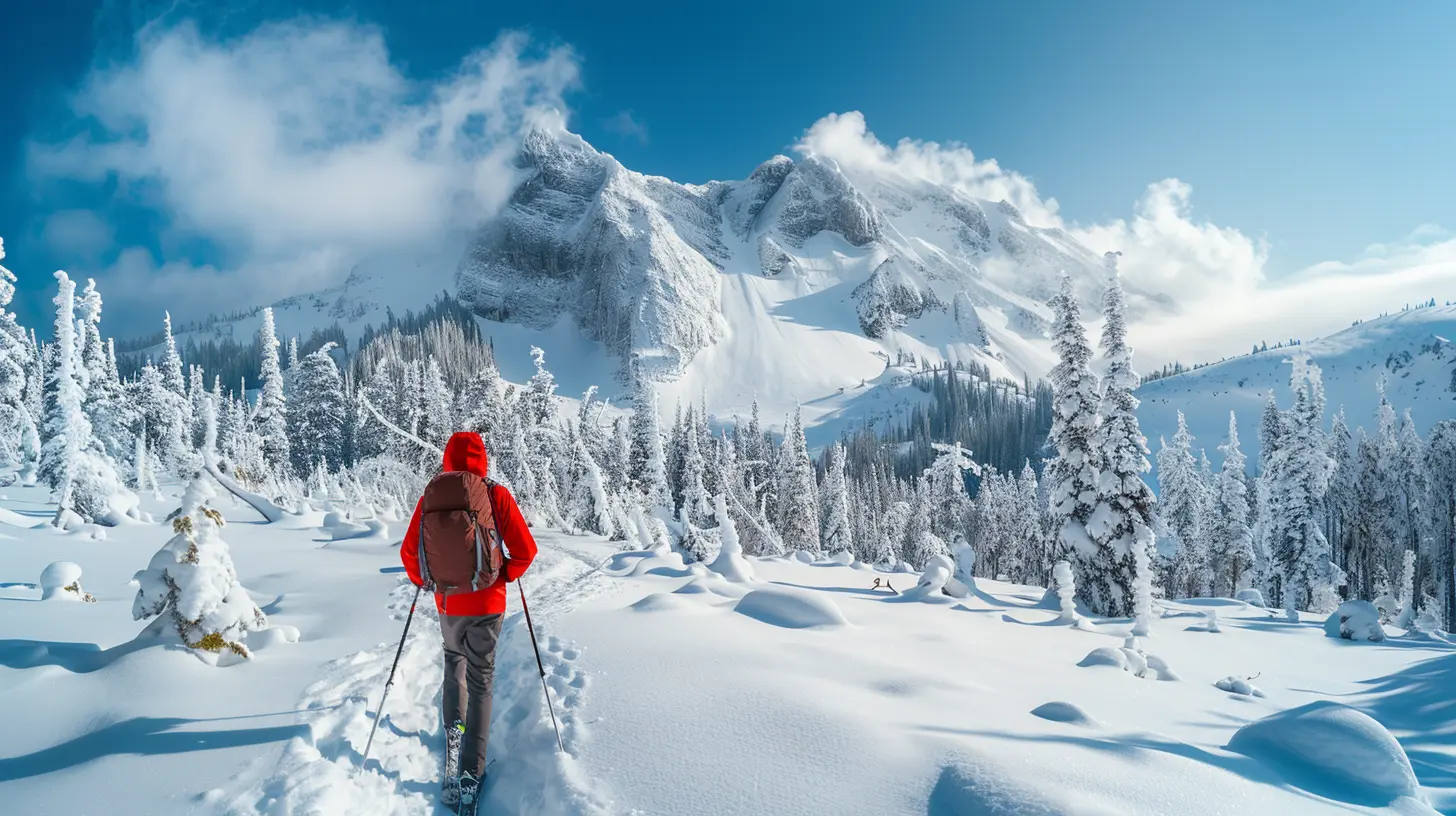 Touring National Parks in Winter: Quiet Beauty and Fewer Crowds