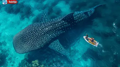 Asia’s Best Scuba Diving Spots for Marine Life Lovers