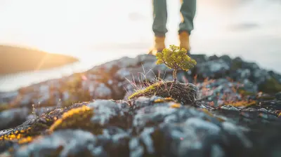 Carbon Neutral Adventures Booking Travel That Gives Back To The Planet