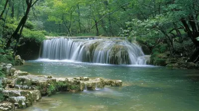 Eco Touring Protecting Waterfalls And Their Surrounding Habitats