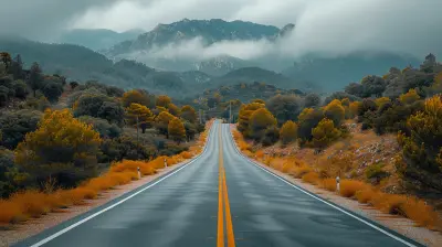 Epic Road Trips Through Exotic Wildernesses