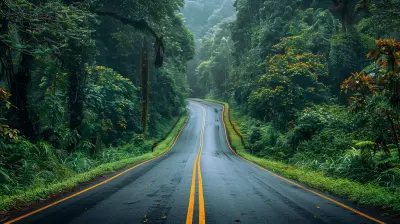 Epic Road Trips Through Exotic Wildernesses