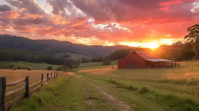 Rediscover the Calm of Country Living at a Farm Stay
