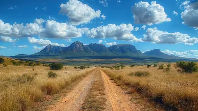 South Africa Journey: From Cape Town to Kruger National Park