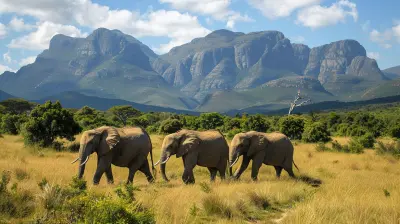 South Africa Journey: From Cape Town to Kruger National Park