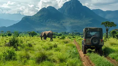 Sustainable Safaris: Ethical Adventures in Africa