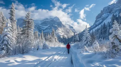Touring National Parks in Winter: Quiet Beauty and Fewer Crowds
