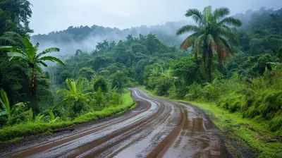 Tropical Treasures: Waterfalls in Rainforest Paradises