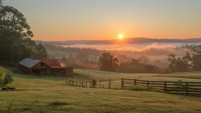 Where City Ends and Serenity Begins: Farm Stays for Peace Seekers