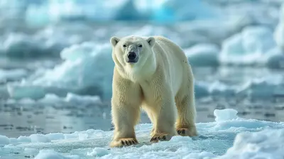 Winter Wildlife: Where to Spot Polar Bears and Other Arctic Animals