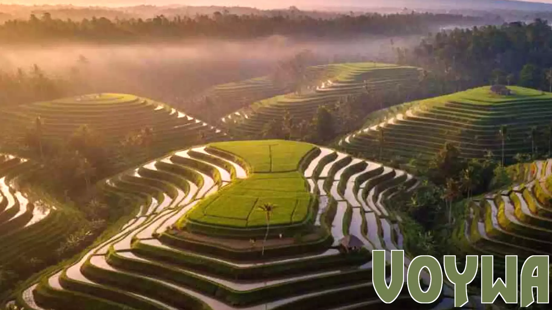 Bali's Suwung Landfill to Permanently Close, Promoting Eco-Tourism