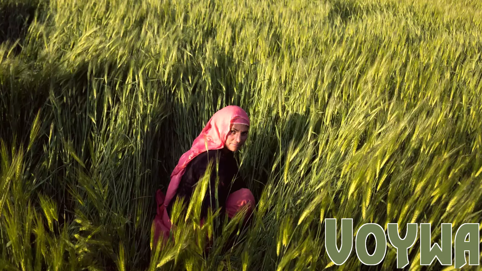 Climate change and tourism are reshaping farming in the Himalayas