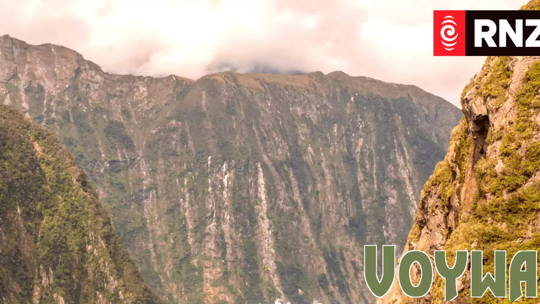 Environmental cost of cruise ships not worth the economic benefit, expert says