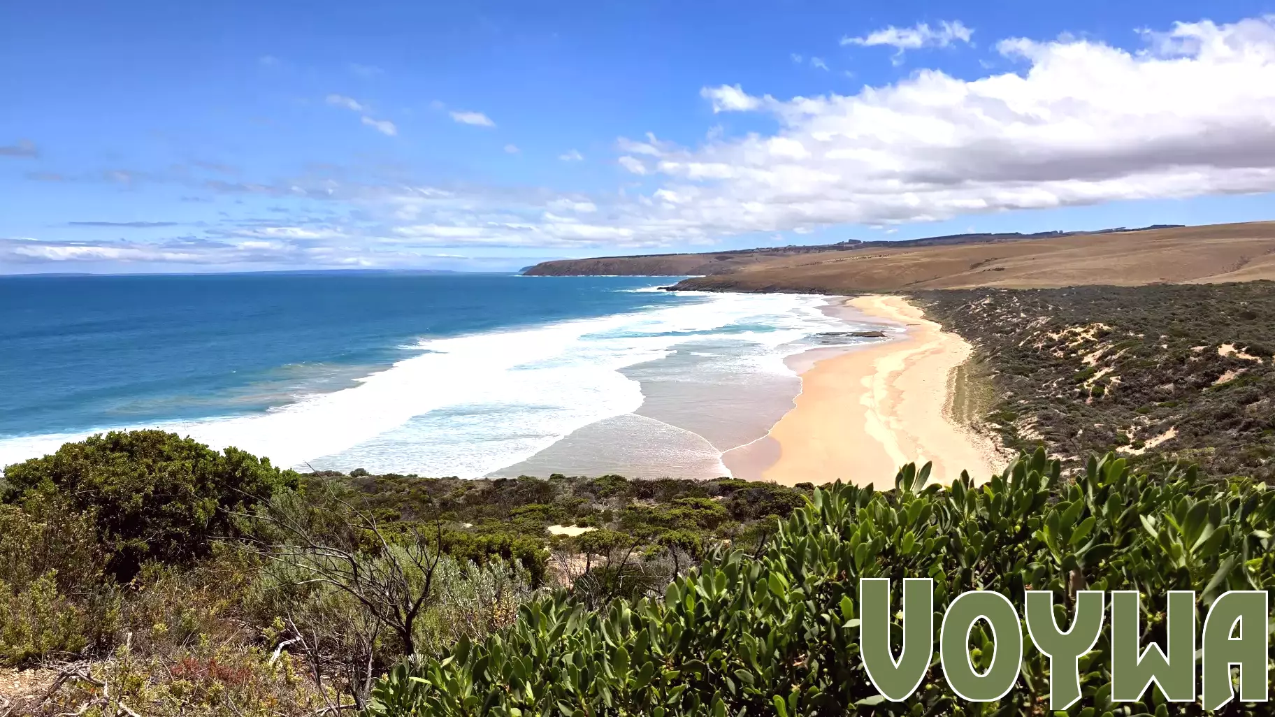 Harmful Algal Bloom Impacts South Australian Coastline