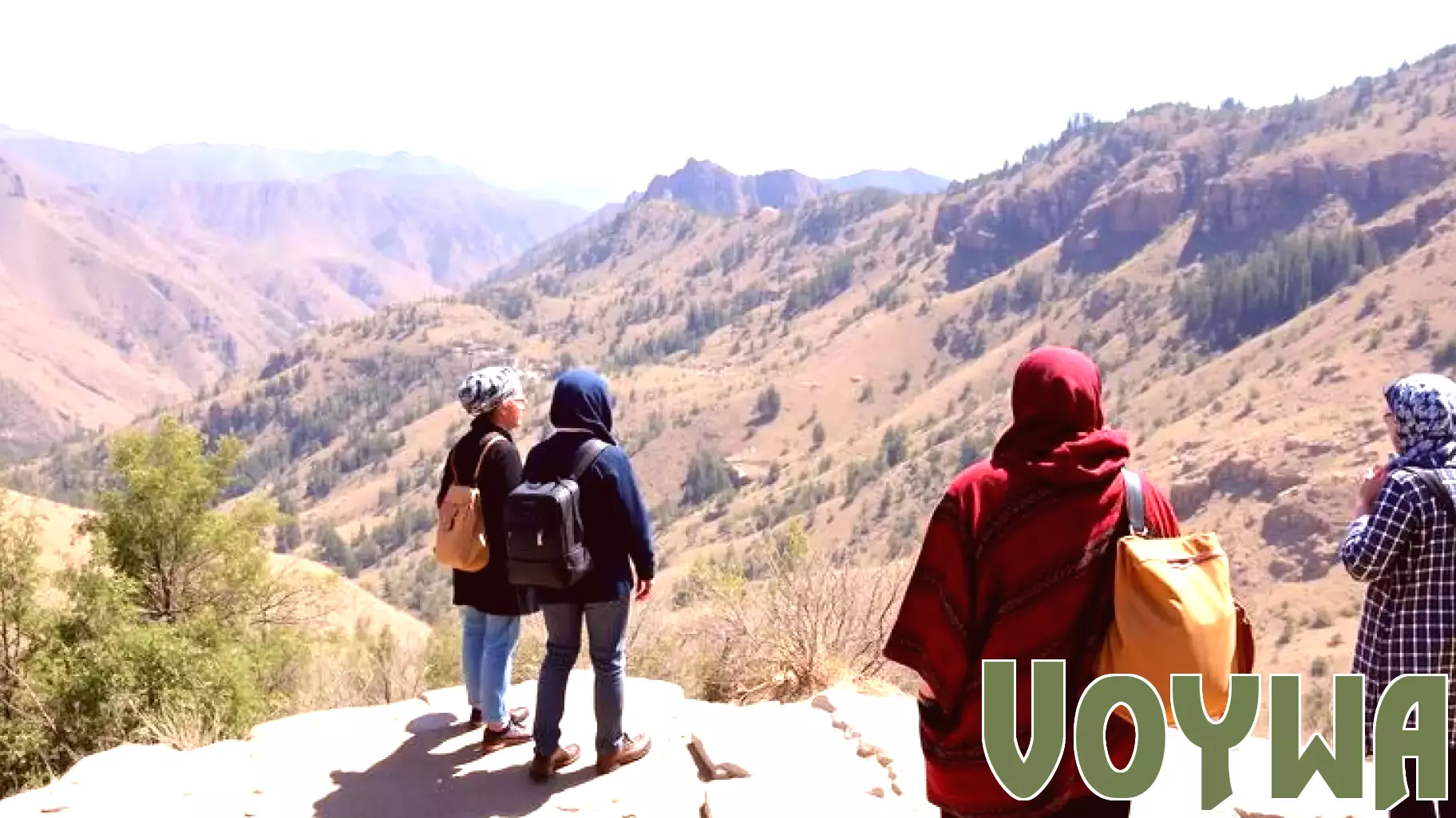 **Iran Positions Tour Guides as Pillars of Sustainable Tourism and Cultural Diplomacy**