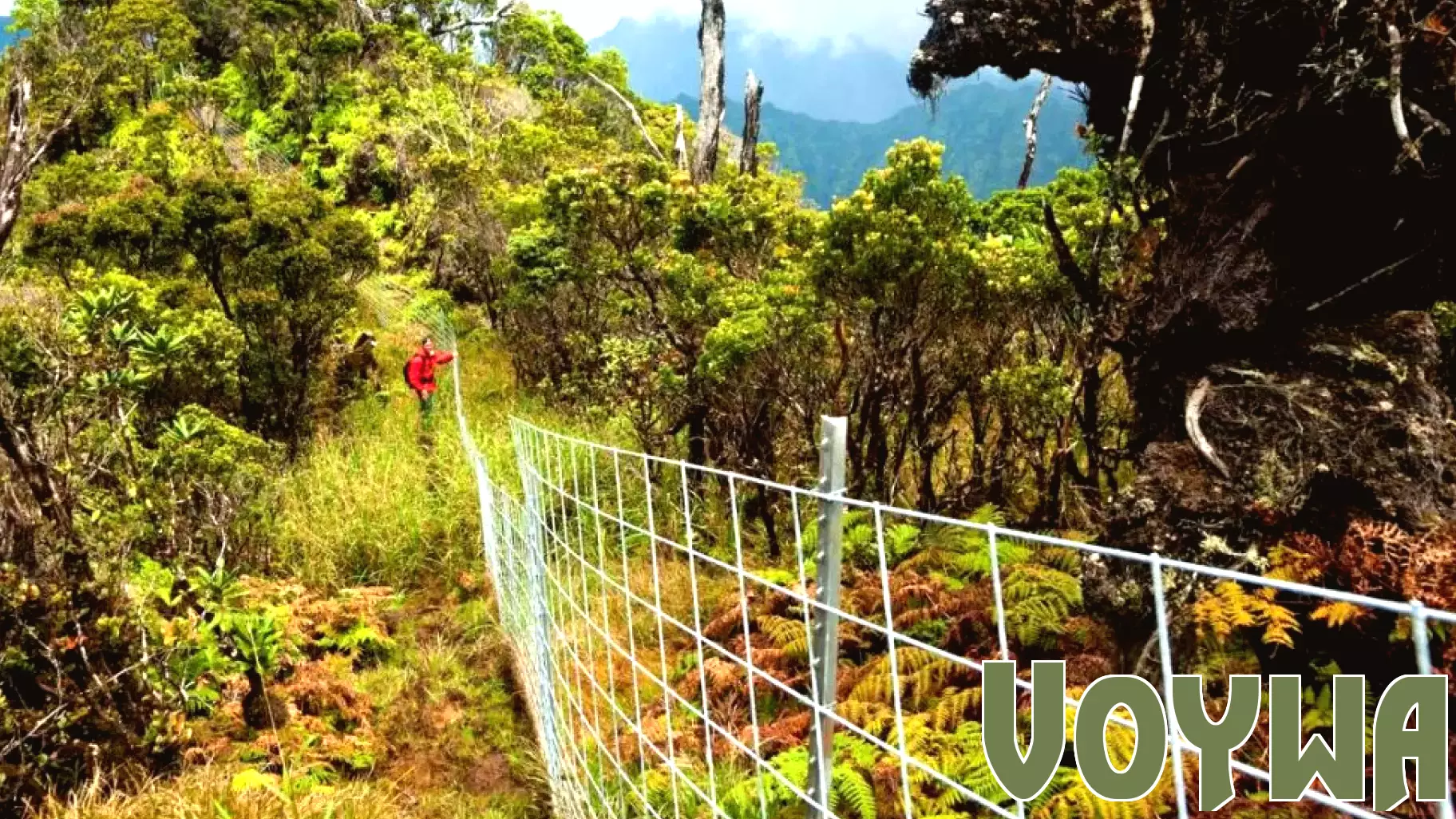 Kaua’i Conservationists Urge Focus on Environmental Initiatives with New Green Fee