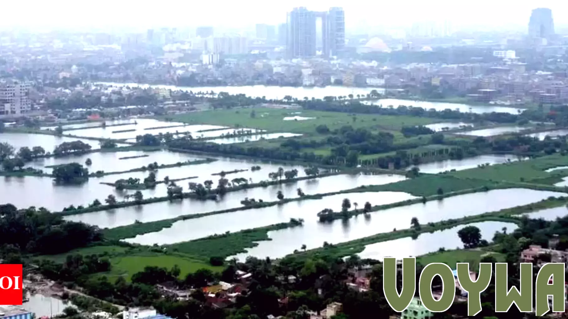Kolkata Aims to Enhance Wetland Tourism for Environmental Protection