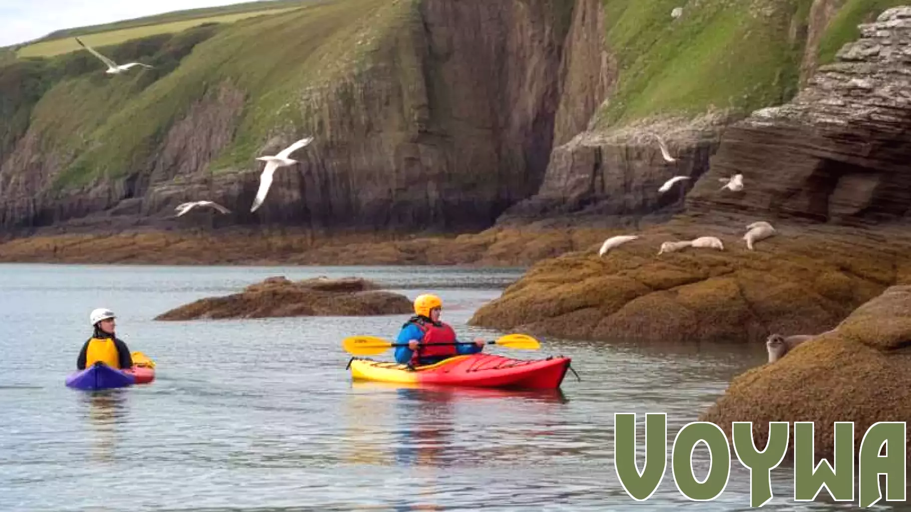 Pembrokeshire Adventure Tourism Hub Faces Legal Setback Over Environmental Concerns