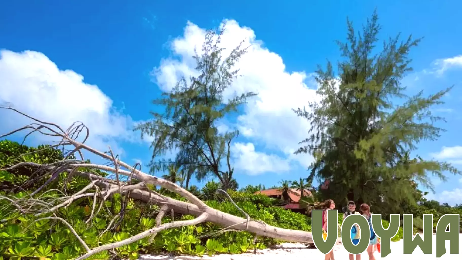 Philippines Shifts Focus as Christina Frasco Transitions to Sustainability Role: What This Means for Eco-Tourism in the Philippines and Southeast Asia’s Future Travel Industry - Travel And Tour World