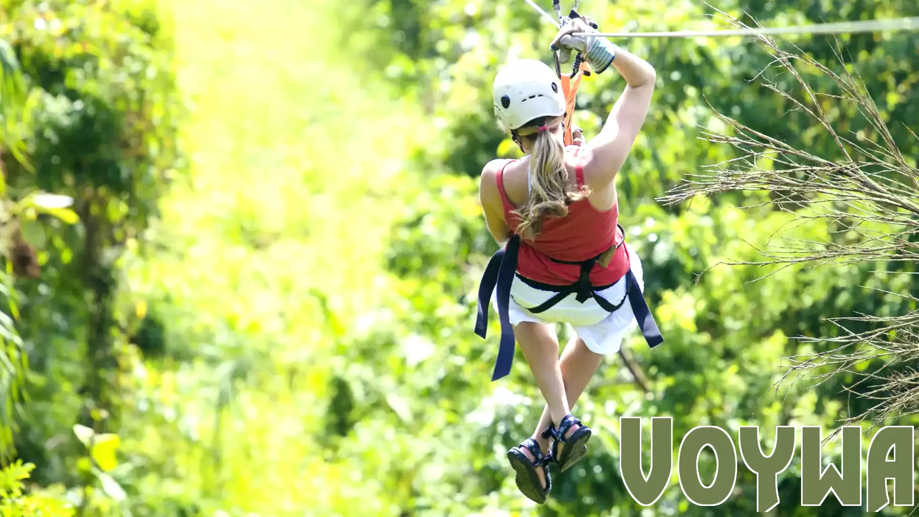 Researchers say ecotourism valuable but cannot decarb tourism industry 