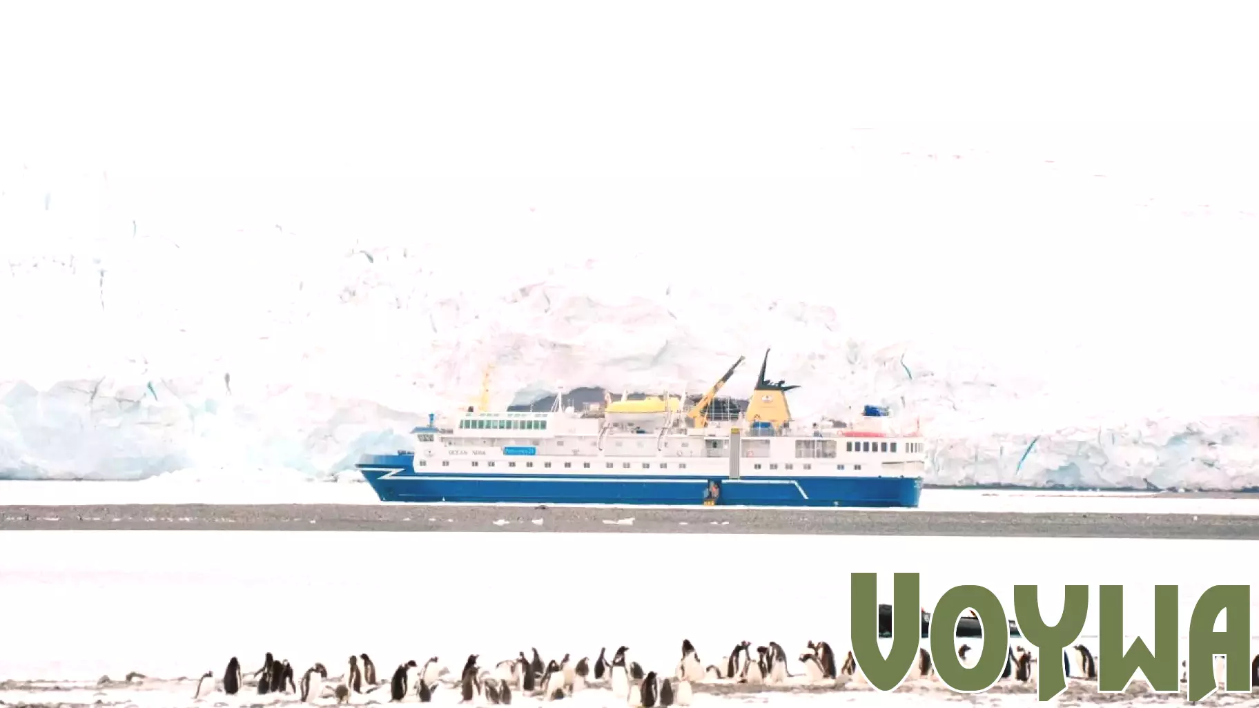 The Dilemma of Antarctic Tour Guides: A Heartfelt Farewell