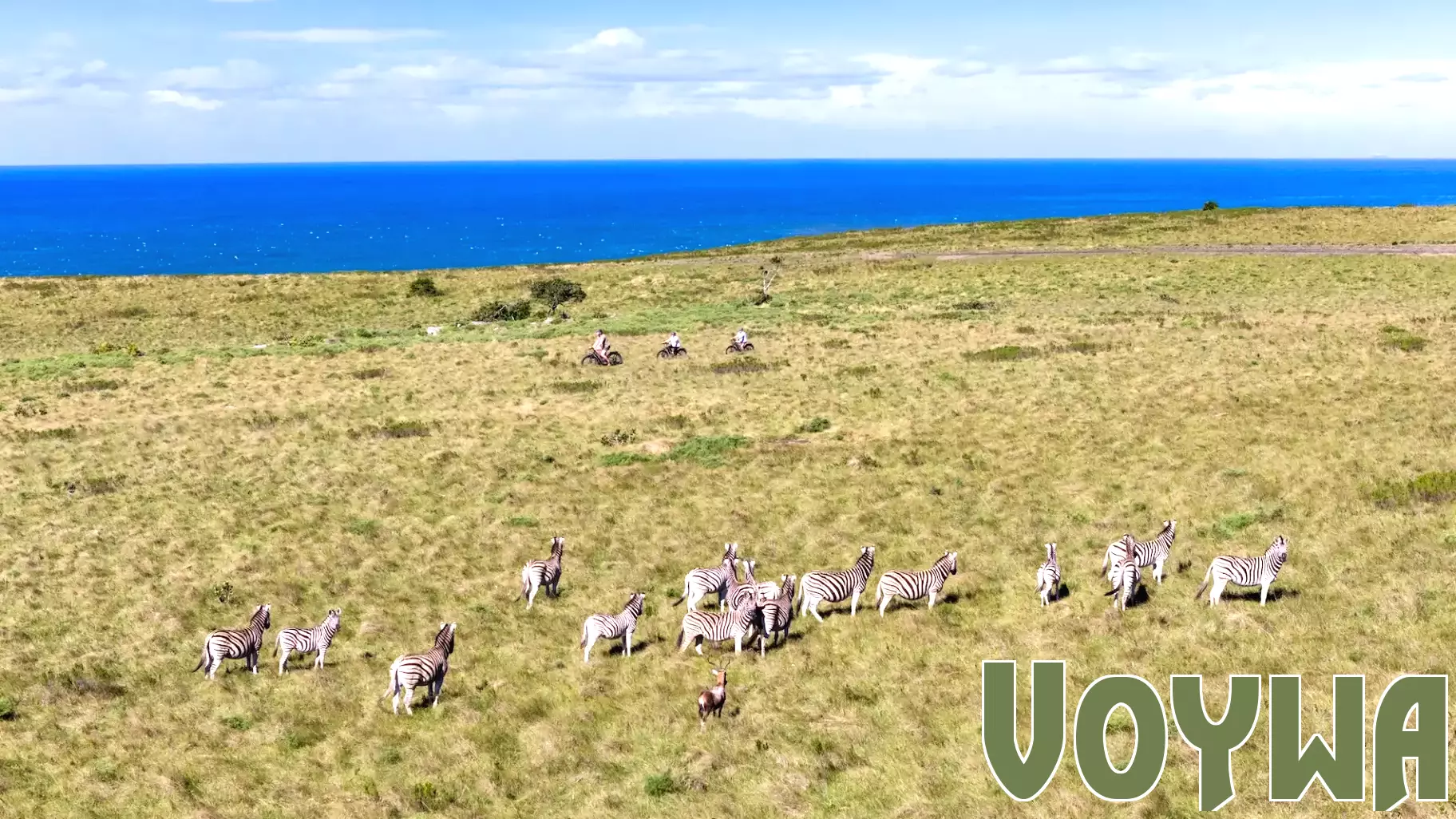World Environment Day highlights greener tourism practices