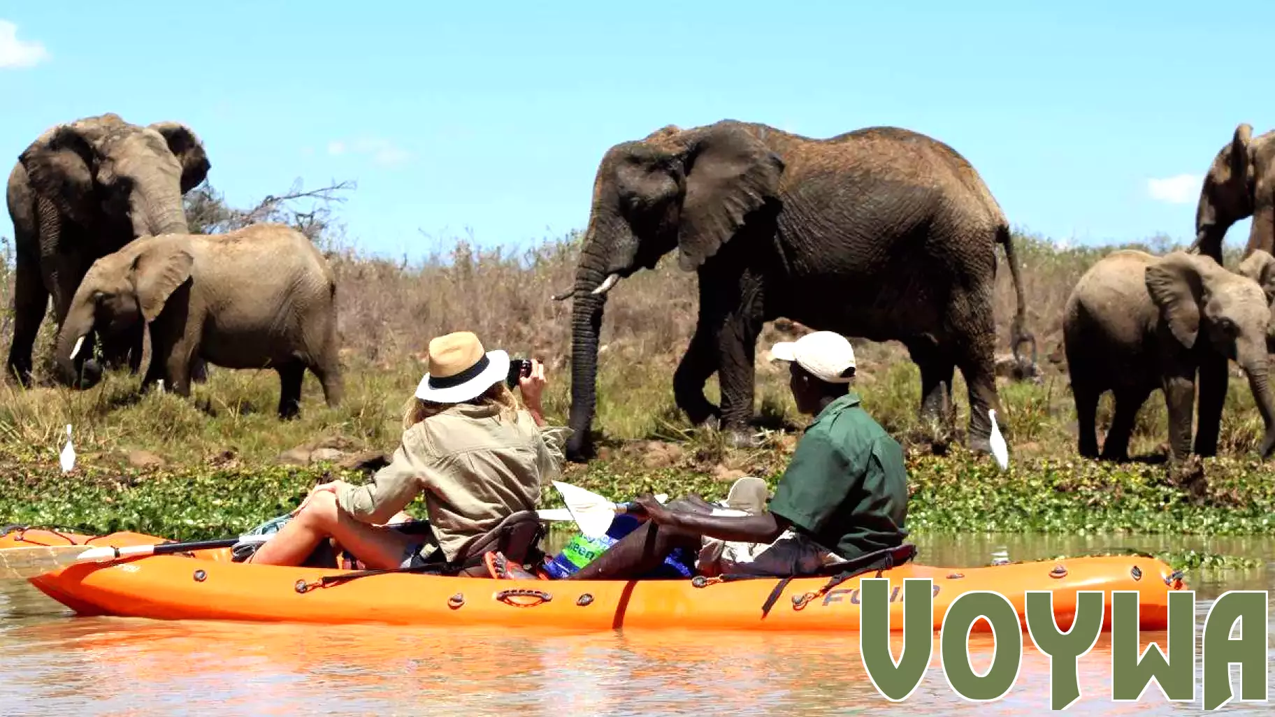World Environment Day Sparks a Global Shift Towards Sustainable Travel