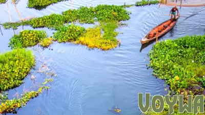 Celebrate World Environment Day 2025: Explore Nature's Beauty in Assam
