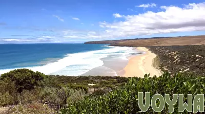 Harmful Algal Bloom Impacts South Australian Coastline