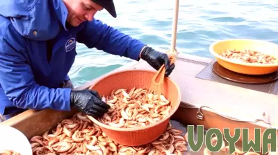Hong Kong Launches New Social Media Trend of Harvesting Wild Seafood Raises their Eco-Tourism Concerns, Environmental Damage and Health Risks from the Shellfish Toxins - Travel And Tour World