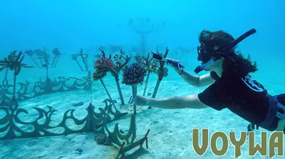 How the Travel Industry Is Stepping Up for World Oceans Month