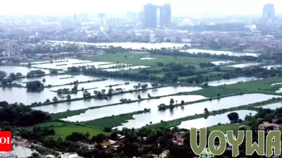 Kolkata Aims to Enhance Wetland Tourism for Environmental Protection
