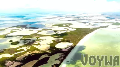 Mexico's Environment Secretariat halts Royal Caribbean Tourism Project in Quintana Roo