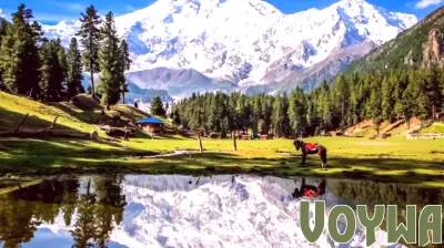 The Tourism Industry's Struggle with Environmental Degradation and Economic Viability in Gilgit-Baltistan