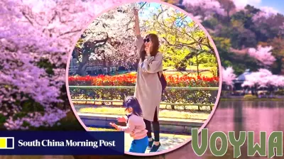 Tourist Faces Backlash for Disturbing Cherry Blossoms in Japan