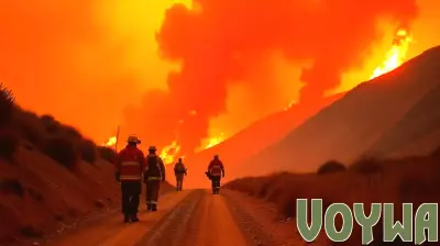 Wildfires and Extreme Heat Hit Turkey, Greece, and Cyprus in 2025