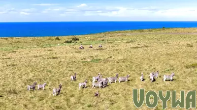World Environment Day highlights greener tourism practices