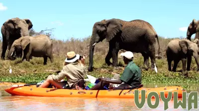 World Environment Day Sparks a Global Shift Towards Sustainable Travel
