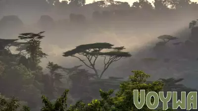 WTM Africa 2026 Responsible Tourism Awards: Celebrate Sustainable Travel and Tourism Initiatives, Here’s All You Need to Know - Travel And Tour World